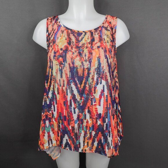 The Limited Womens Top Small Sheer Statement Indie Timeless Elevated Loud Luxury - Picture 1 of 12